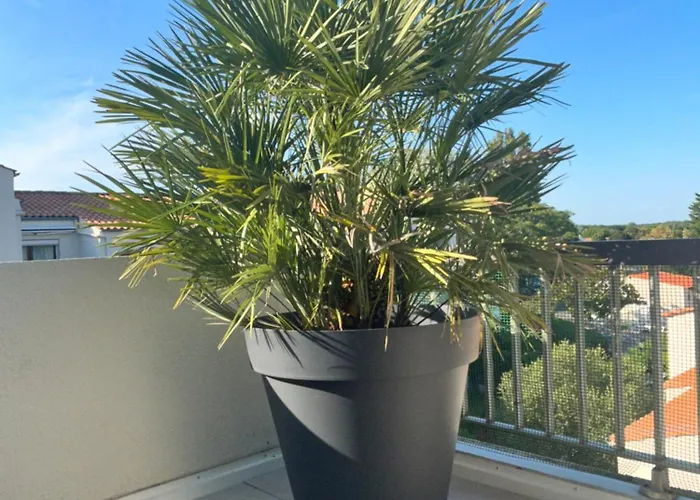 Διαμέρισμα T2 Superbe