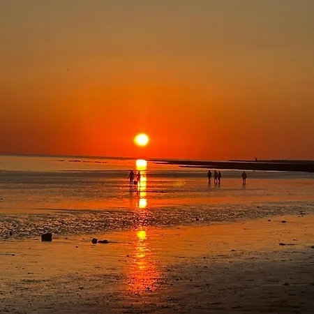 Apartman T2 Superbe *